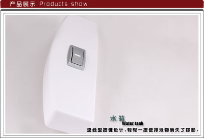 【厂家直卖 优质塑料水箱 蹲便器水箱 冲厕水箱 环保卫生】价格,厂家,图片,其他水暖卫浴五金,泉州优可卫浴-